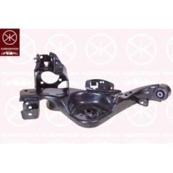 Trailing Control Arm 1638821 for NISSAN JUKE