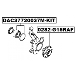 Wheel Hub - FEBEST 0282G15RAF