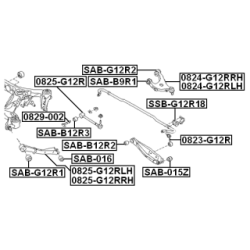 Camber Correction Screw - FEBEST 0829002