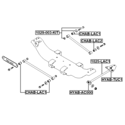 Camber Correction Screw - FEBEST 1029003KIT