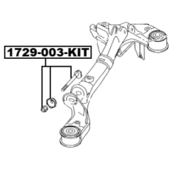 Camber Correction Screw - FEBEST 1729003KIT