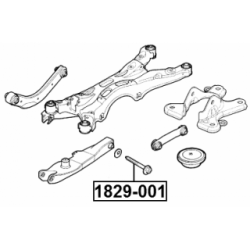 Camber Correction Screw - FEBEST 1829001