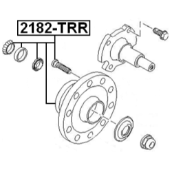 Wheel Hub - FEBEST 2182TRR