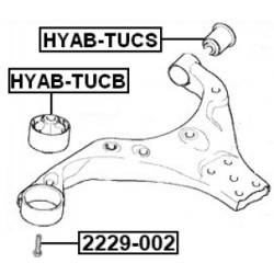 Fastening Bolt Control Arm - FEBEST 2229002