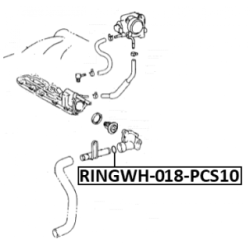Gasket Coolant Flange - FEBEST RINGWH018PCS10