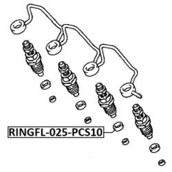 Seal Ring Injector - FEBEST RINGFL025PCS10
