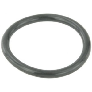 Gasket Coolant Flange - FEBEST RINGWHB5
