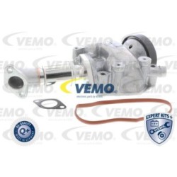 Egr Valve V30-63-0010 for MERCEDES SPRINTER, V-CLASS, VITO