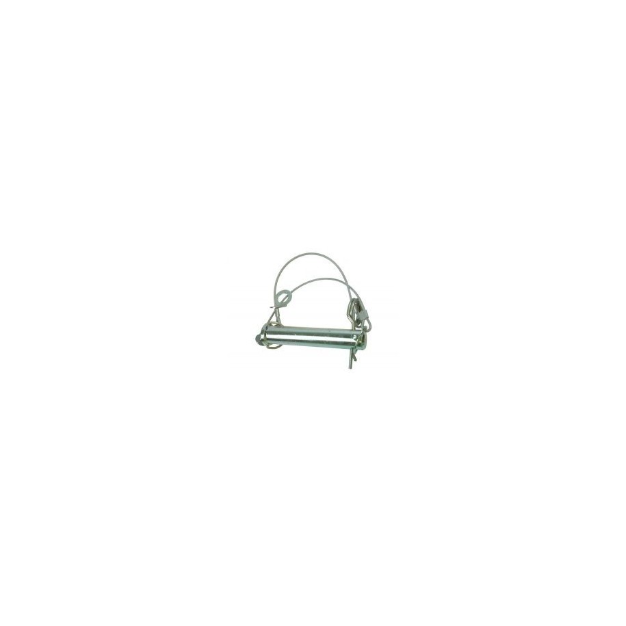REPLACEMENT PIN/CHAIN ASSY MP82 e11*94/20*8119*00