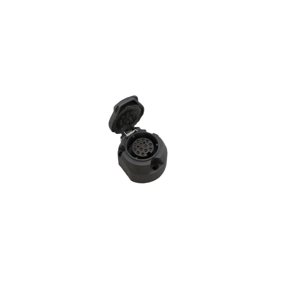 13 pin socket plastic c/w Microswitch and Fog cut off