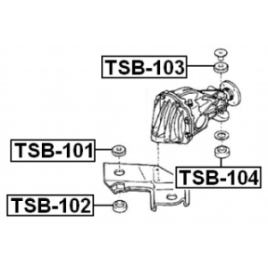 Mounting Differential - FEBEST TSB101