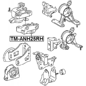 Mounting Engine - FEBEST TMANH25RH