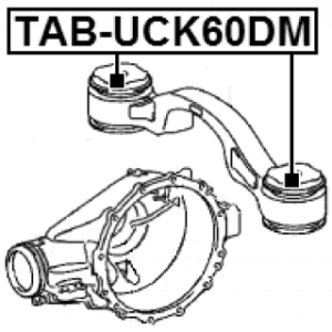 Mounting Differential - FEBEST TABUCK60DM