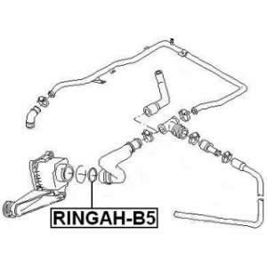 Gasket Egr Valve Pipe - FEBEST RINGAHB5