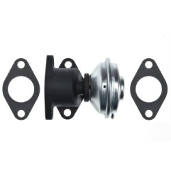 EGR Valve for AUDI  SKODA  VW OE 59131503