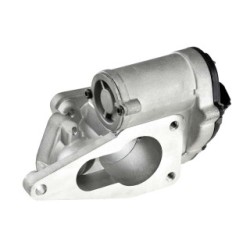 EGR Valve for RENAULT    SUZUKI OE 8200411031