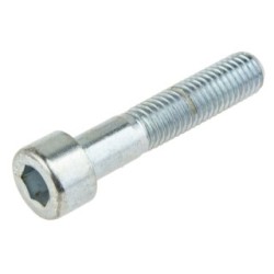 Screw