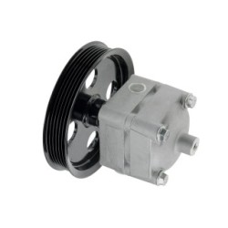 Steering Hydraulic Pump for VOLVO OE 8603051