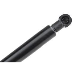 Tailgate Gas Spring for CITROEN XSARA OE 0873.10