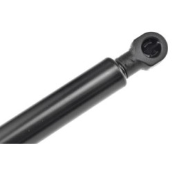Rear Rear Window Gas Spring for CITROEN C4 OE 8731.P1