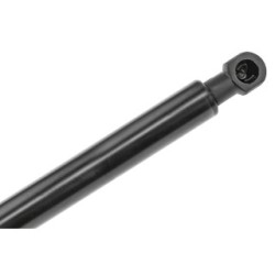 Tailgate Gas Spring for CITROEN C3 OE 8731.T9