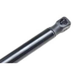 Tailgate Gas Spring for FORD FOCUS OE 1070024