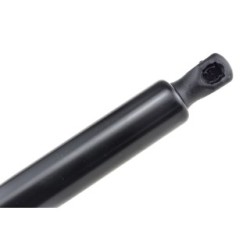 Tailgate Gas Spring for RENAULT  MODUS OE 8200219323