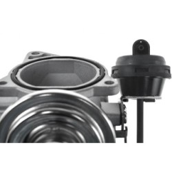 EGR Valve for AUDI  FORD  SEAT  SKODA  VW OE 038131501AL