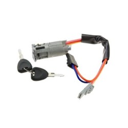 Steering Lock for RENAULT  KANGOO OE 7701470736