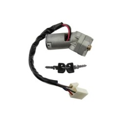 Steering Lock for IVECO DAILY OE 4836356