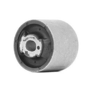 Axle Bushing - RIDEX 1080M0066
