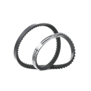 V Belt - RIDEX 10C0006