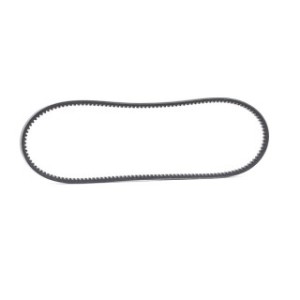 V Belt - RIDEX 10C0009