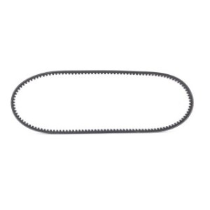 V Belt - RIDEX 10C0019