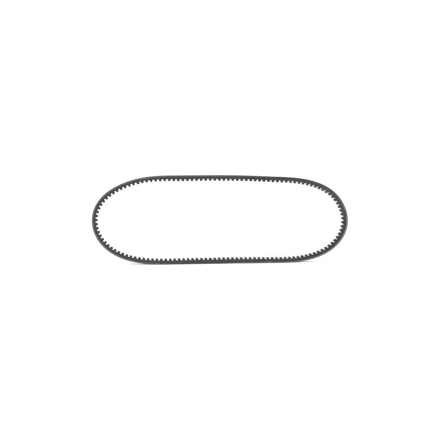 V Belt - RIDEX 10C0019