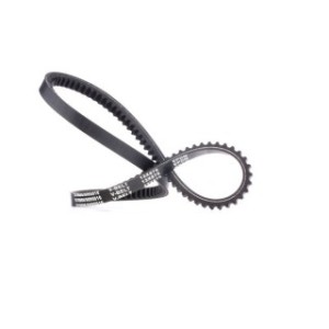 V Belt - RIDEX 10C0024