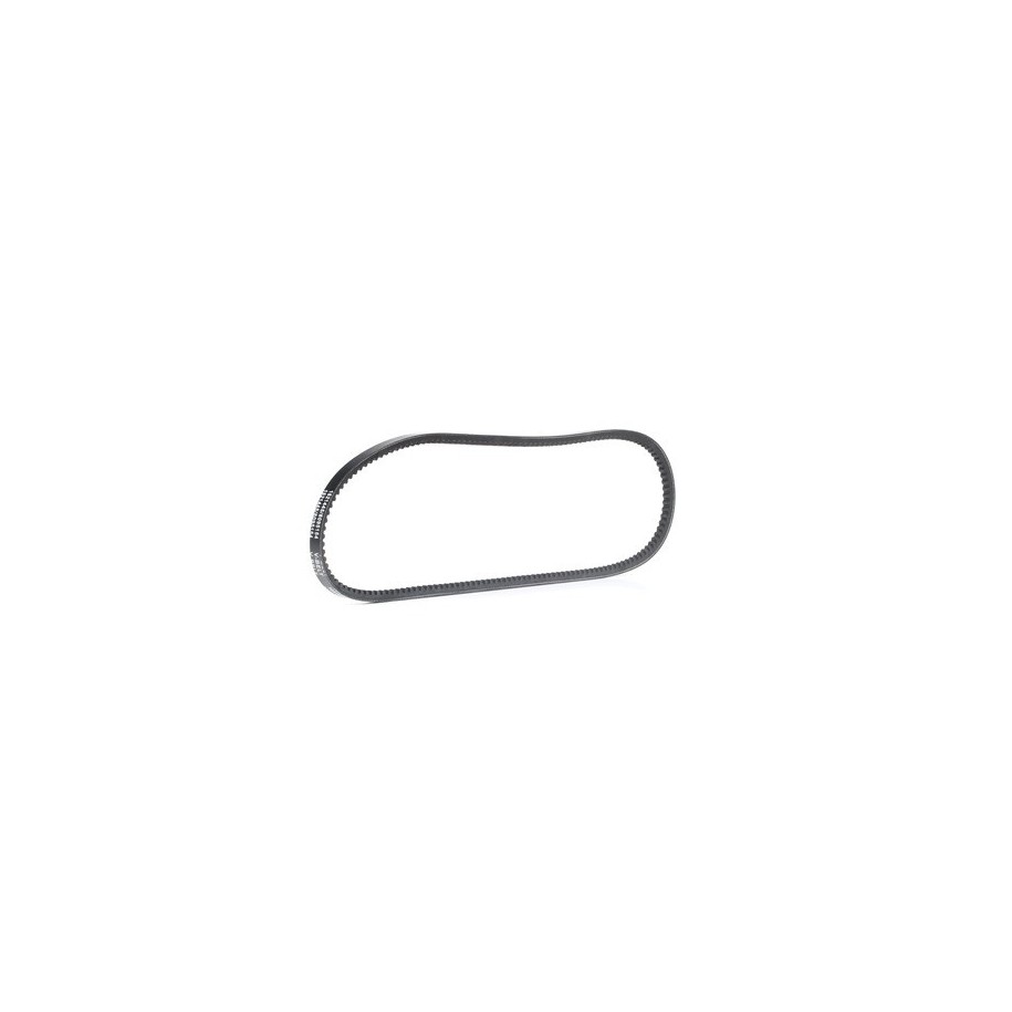 V Belt - RIDEX 10C0048